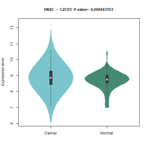 C2CD3 _HNSC.png